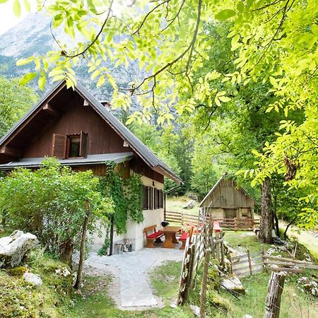 Alpine House Antonia Villa Trenta Exterior photo