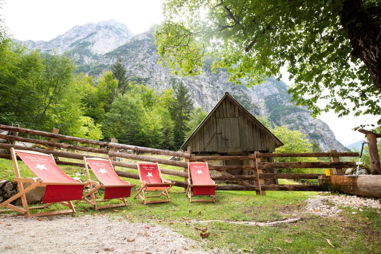 Alpine House Antonia Villa Trenta Exterior photo